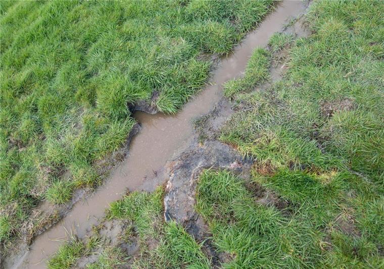 Ein Landwirt hatte die Leiche des seit Dezember vermissten Lars Wunder auf einer Wiese tot aufgefunden.