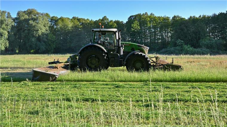 Wildtiere verstecken sich im Gras: Vorsicht bei der Mahd Ein Landwirt mäht am frühen Morgen eine Wiese.