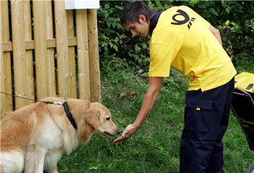 Ein Postbote gibt einem Hund ein Leckerli