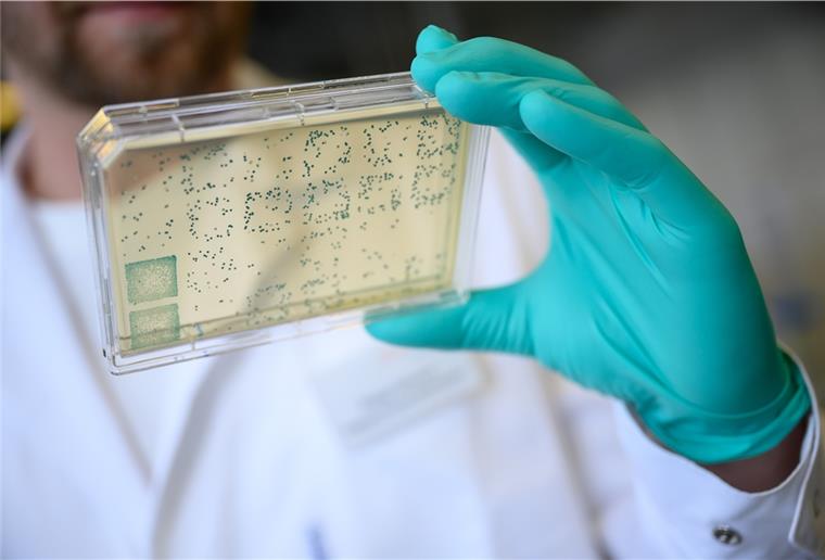 Bremen im Corona-Notmodus: Land beschließt massive Einschnitte Ein Mann schaut sich in einem Labor des biopharmazeutischen Unternehmens Curevac einen Träger mit Bakterien an.
