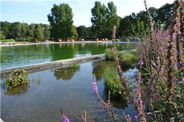 Ein Naturbad wie in Zeven könnte auch in Brake eine Lösung für das alte Freibadgelände sein. 