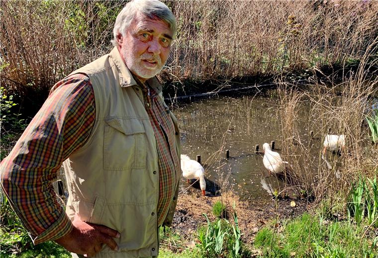 Ein neues Zuhause für Hausgänse: Waldemar Martens hat die drei „Findelkinder“ in seinen Garten am Bürgerpark aufgenommen.