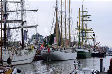 Ein &quot;Mastenmeer&quot; im Neuen Hafen.