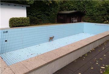 Ein Reh ist im nordrhein-westfälischen Wetter in ein leer stehendes Schwimmbecken gefallen und anschließend geretten worden. 