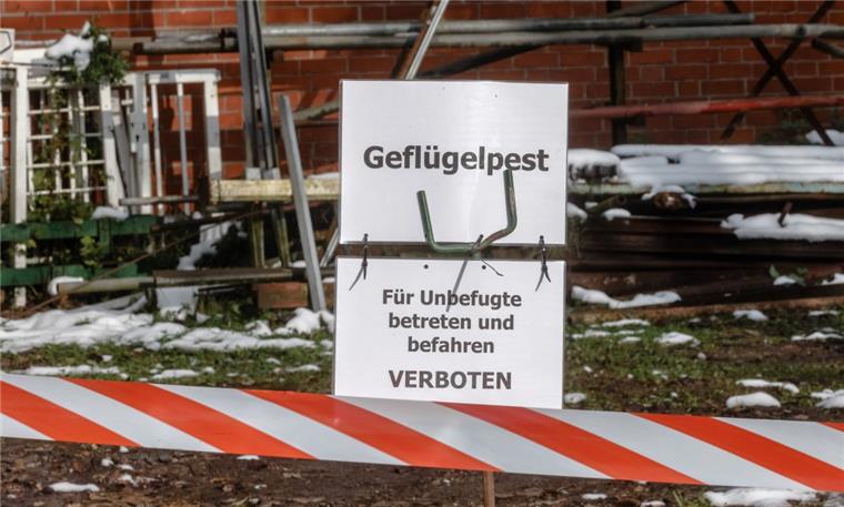 Ein Schild mit der Aufschrift "Geflügelpest - Für Unbefugte betreten und befahren verboten" ist an der Einfahrt eines Bauernhofs in Lübeck-Ivendorf (Schleswig-Holstein) zu sehen, auf dem die Vogelgrippe jetzt an Nutzgeflügel festgestellt wurde.