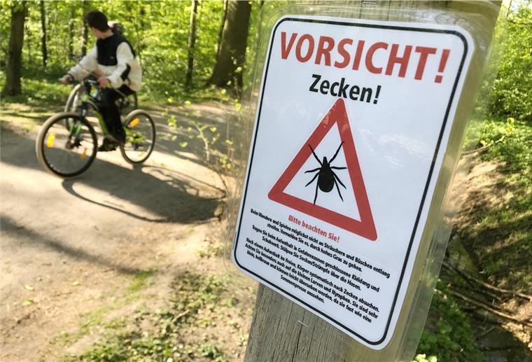 Zecken-Gefahr in Niedersachsen breitet sich nicht aus Ein Schild warnt in einem Wald vor Zecken.