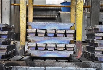 Ein Stapel Bleibarren, der frisch aus der Raffination kommt. Blei ist ein für verschiedene industrielle Anwendungen wichtiges Metall. Doch in zu hoher Konzentration ist Blei auch ein Umweltgift.