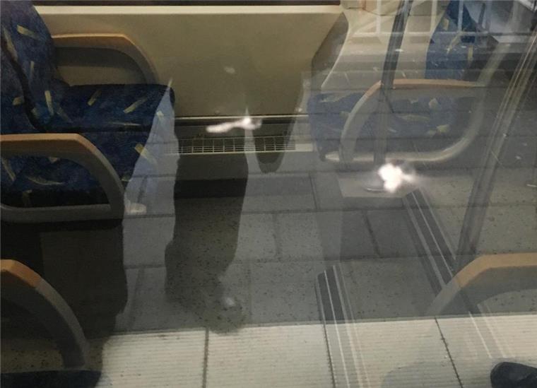 Steinewerfer beschädigt fahrende Nordwestbahn in Delmenhorst Ein Steinewerfer hat bei Delmenhorst auf eine Scheibe gezielt und einen Nordwest-Triebwagen beschädigt.