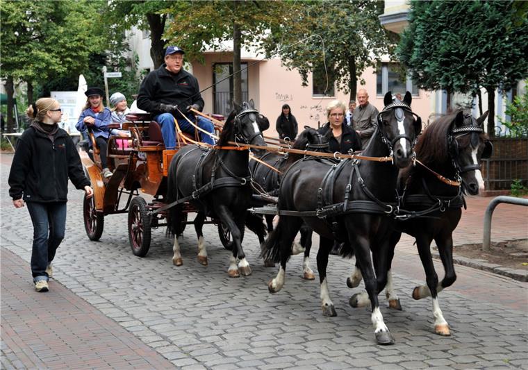 Ein Straßenfest in der Goethestraße wäre undenkbar ohne die beliebte alte Pferdekutsche. 