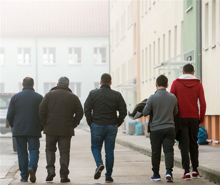 Sozialbetrug: Bewährungsstrafe für sudanesischen Asylbewerber Ein sudanesischer Sozialbetrüger ist zu einer Bewährungsstrafe verurteilt worden.