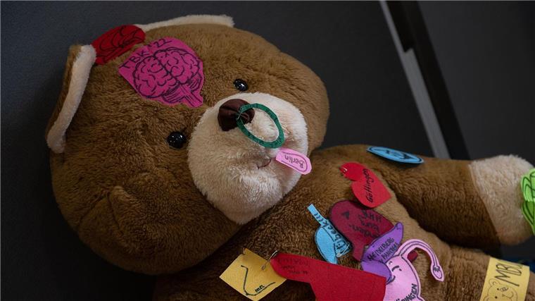 Kuscheltiere werden im Teddybär-Krankenhaus behandelt Ein Teddybär liegt im Teddybär-Krankenhaus am Uniklinikum Göttingen.