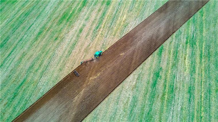 Landwirte leiden unter Preisdruck und schlechten Böden Ein Traktor zieht Pflug und Egge über ein abgeerntetes Feld.