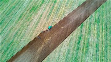 Ein Traktor zieht Pflug und Egge über ein abgeerntetes Feld.