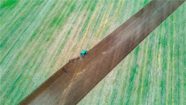 Ein Traktor zieht Pflug und Egge über ein abgeerntetes Feld.