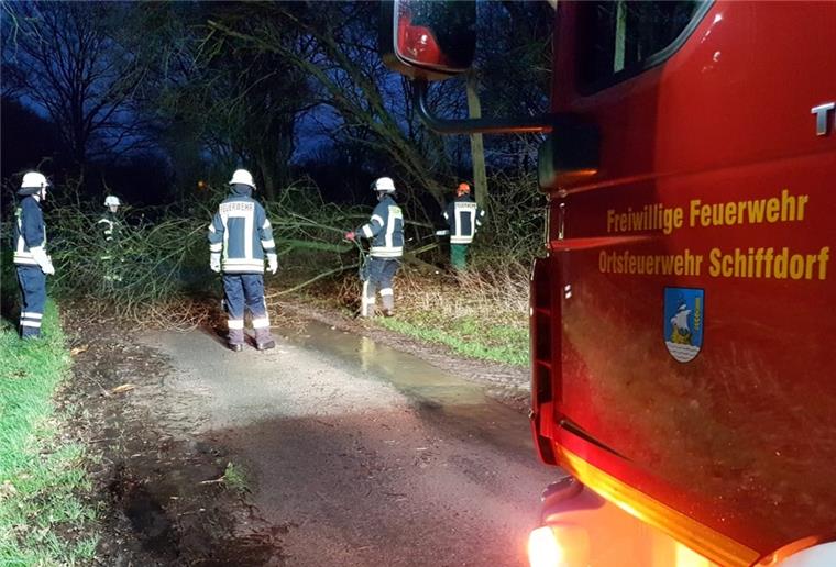 Doppelter Feuerwehreinsatz am Samstag in Schiffdorf Ein umgestürzter Baum blockierte in Schiffdorf eine Straße.