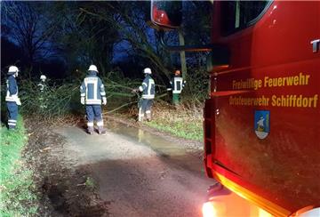 Ein umgestürzter Baum blockierte in Schiffdorf eine Straße.