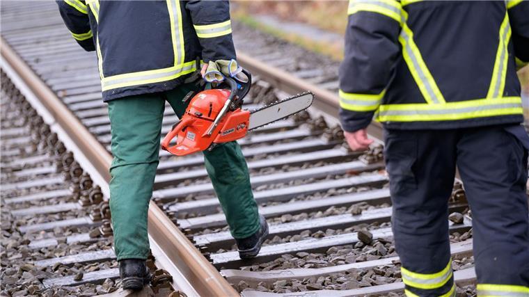 Nach Sperrung: Bahnstrecke Leer-Oldenburg wieder frei Ein umgestürzter Baum sorgte für Behinderungen auf der Bahnstrecke zwischen Norddeich Mole und Hannover. (Symbolbild)