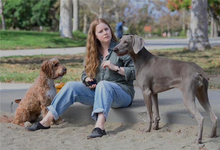 Eine Frau mit zwei Hunden.  Ein Vorstadthund auf zwei Beinen – „Nightbitch“ mit Amy Adams in der Hauptrolle zeigt, wie Mutterschaft zur tierischen Grenzerfahrung zwischen Selbstaufgabe, Instinkt und Identität werden kann.