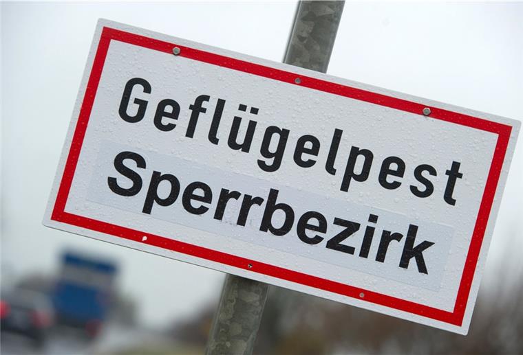 Ein weiterer Fall von Geflügelpest: diesmal ist ein Betrieb in der Gemeinde Schiffdorf betroffen.