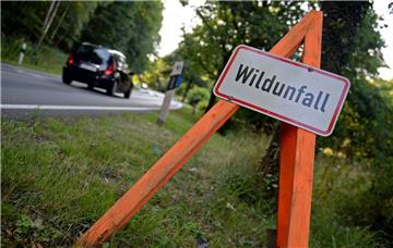 Eine 16-jährige Rollerfahrerin musste in Hagen einem Reh ausweichen.