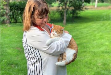 Eine Blutspende rettete Katze Cathy das Leben.