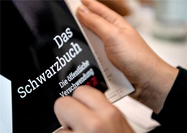 Schwarzbuch: Dafür wurden in Bremerhaven Steuern verschwendet Eine Bremerhavener Investition wird als Steuerverschwendung im Schwarzbuch des Bundes der Steuerzahler angeprangert.