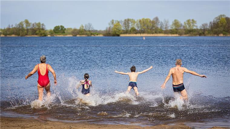 Eine Familie läuft bei sonnigem Wetter in den Hufeisensee in der Region Hannover.