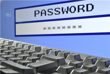 Eine fiktiven Eingabemaske für ein Passwort (engl. Password) auf einem Computer. Hinweise auf weitere Morde oder einen Pädophilenring? Die Ermittler können nur spekulieren, was sich auf dem PC des Kindermörders Martin N. befindet. Das Passwort ist bisher nicht geknackt.  Foto Stratenschulte