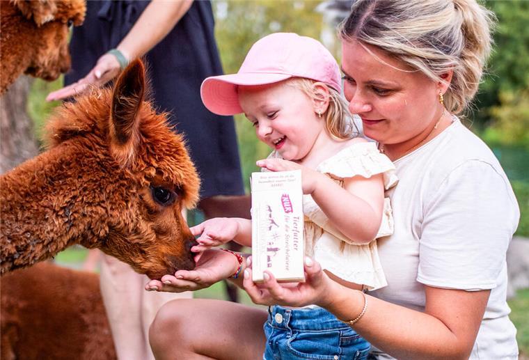 Tier- und Freizeitpark an der Nordsee Jaderpark, Zoo, Tiere fütter, Alpaka, Streichelwiese