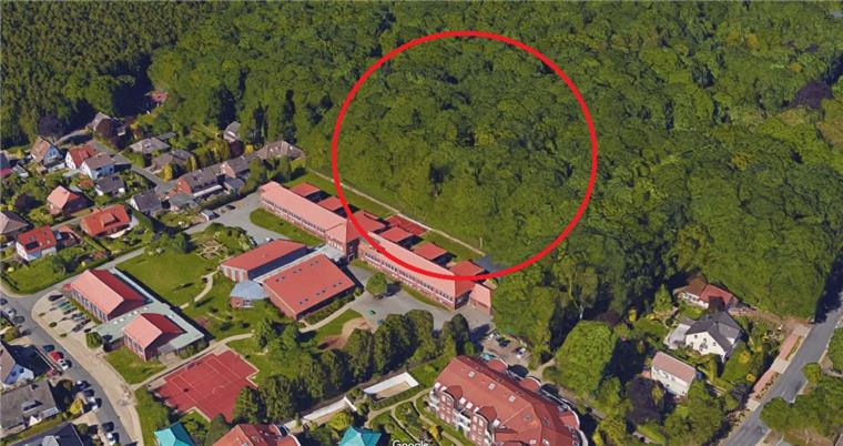 Gymnasium Langen: Widerstand gegen Waldrodung für Anbau Eine gut 4000 Quadratmeter große Fläche Wald hinter dem Langener Gymnasium soll gerodet werden.