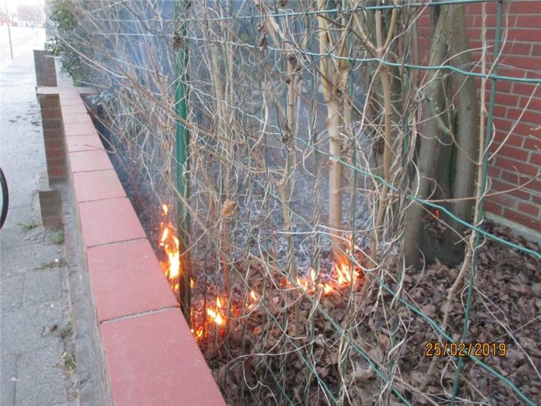 Bremerhaven: Hecke brennt ab - Nachbar verhindert womöglich Schlimmeres Eine Hecke hat in der Langener Landstraße in Bremerhaven gebrannt. Die Feuerwehr konnte löschen, bevor Schlimmeres passieren konnte.