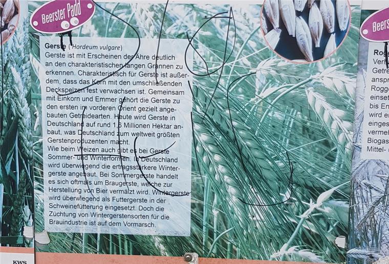 Beers: Mit Landwirtschaft haben diese Schmierereien nichts zu tun Eine Hinterlassenschaft, die Wulf Quassowsky schockiert: Auf dieser Informationstafel seines „Beerster Padd“ stand „Sieg Heil“ zu lesen.
