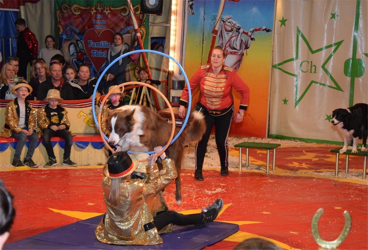 Selsinger Grundschüler zeigen sich als Akteure in der Zirkusmanege Eine Hundedressur gehört zu den Nummern in der Manege in Selsingen.