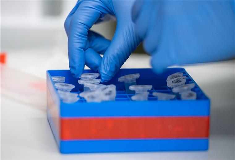 Corona-Drama Bremervörde: Keine Spur von Mutante Eine Laborantin sortiert im Institut für Virologie an der Charité Proben. Dort wurden nun auch Proben aus Bremervörde untersucht.