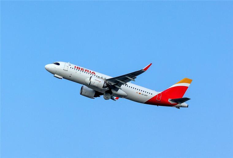 Spinnenbiss im Cockpit: Pilot landet Flugzeug sicher in Deutschland Flugzeug