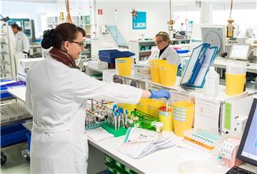 Eine Mitarbeiterin des Zentrallabors des LADR-Laborverbundes in Geesthacht untersucht einen Abstrich eines molekularbiologischen Tests auf das Coronavirus.