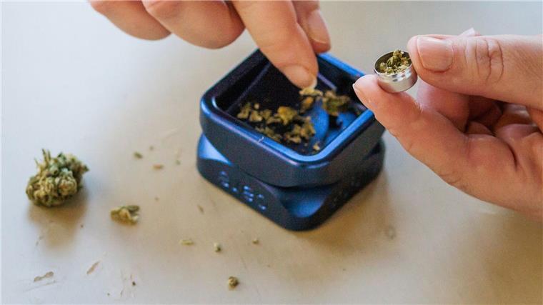 Cannabis-Dampfen fällt nicht unter das Rauchverbot Eine Patientin füllt zerkleinertes medizinisches Cannabis in eine Metallkapsel.