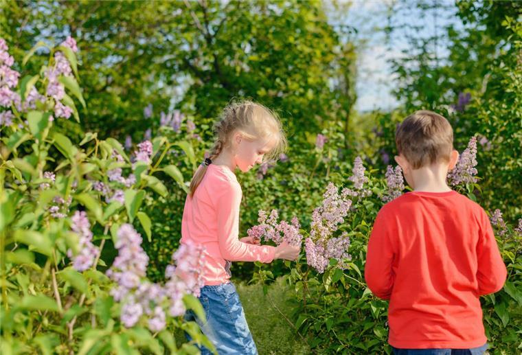 So wird der Garten kindersicher - Auf essbare Pflanzen setzen und Pool abdecken Garten, kindersicher, ungiftige Pflanzen