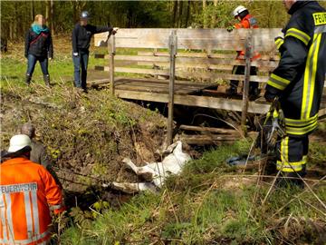 Eine Reiterin ist am "Imkerinnensteg", einer kleinen Holzbrücke am Apeler See, mit ihrem Pferd eingebrochen.