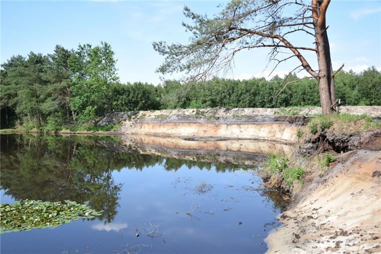 Rhade: Projekt für mehr Artenschutz am Baggersee Eine rund 30 Meter lange Steilwand am Baggersee bei Rhade bietet genug Platz, damit sich Uferschwalben eine Bruthöhle graben können.