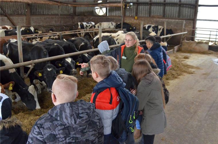 Ehestorf bei Zeven: Schulprojekt soll Image der Landwirtschaft polieren Eine Schülerin der Fachschule Agrarwirtschaft an den BBS Rotenburg erläutert Kindern, worauf es bei der Rinderhaltung ankommt. Die Führung über den Hof in Ehestorf ist Teil eines Schulprojekts zur Verbesserung des Bildes der Landwirtschaft.