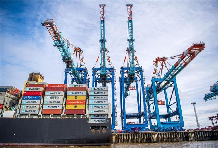 Nach Giftspinnen-Alarm auf Schiff in Bremerhaven: So lange dauert die Beseitigung Eine Spezialfirma soll noch diese Woche damit beginnen, die giftigen Spinnen an Bord der „Arc Commitment“ in Bremerhaven zu entfernen.