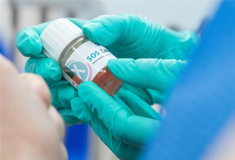 H-Milch statt Taschentuch: Was tun mit ausgeschlagenen Zahn? Eine spezielle Zahnrettungsbox ist die beste Option, um einen Zahn zu lagern. Hausmittel wie H-Milch oder Frischhaltefolie zögern den Zelltod nämlich nur für rund zwei Stunden heraus.