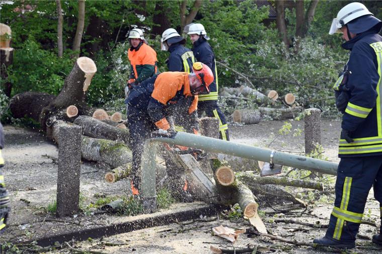 Sturmböen in Bremerhaven sorgen für Feuerwehreinsätze Eine Sturmböe hat einen Baum auf die Straße "Am Stadion" stürzen lassen.