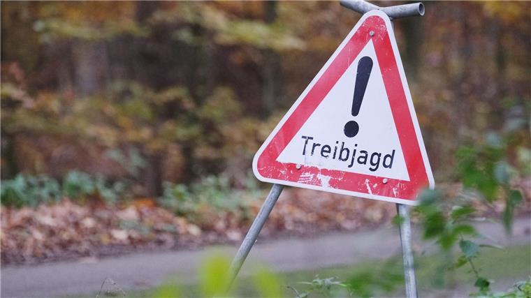 Frau bei Treibjagd angeschossen Eine unbeteiligte Frau wird bei einer Treibjagd angeschossen. (Symbolbild)