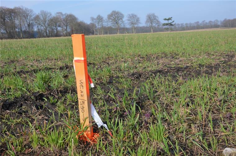 Windpark bei Bad Bederkesa soll in zwei Etappen entstehen Einer der Pflöcke zwischen Bad Bederkesa und Kührstedt, die die insgesamt 13 Standorte der geplanten Windparkanlagen angeben. Die Markierungen, die die PNE Wind AG in den Boden gerammt hat, lassen beim Verschönerungsverein in Bad Bederkesa die Alarmglocken schrillen.