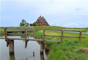 Kirchwarft, Brücke, Reetdachhaus