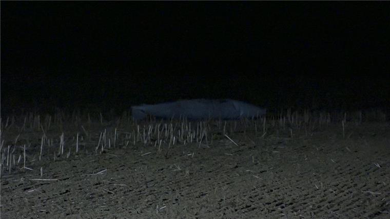 Einer von zwei Zusatztanks eines Tornado-Jets der Luftwaffe liegt auf einem Feld im Kreis Ostholstein. Am Abend hatte ihn eine Spaziergängerin entdeckt.  Der Tornado-Jet hat in Schleswig-Holstein zwei leere Tanks verloren.