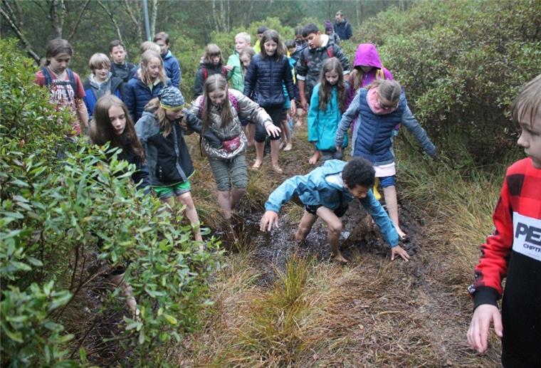 Wulsbüttel: Kinder können ins Mittelalter reisen Kinder toben durch den Wald