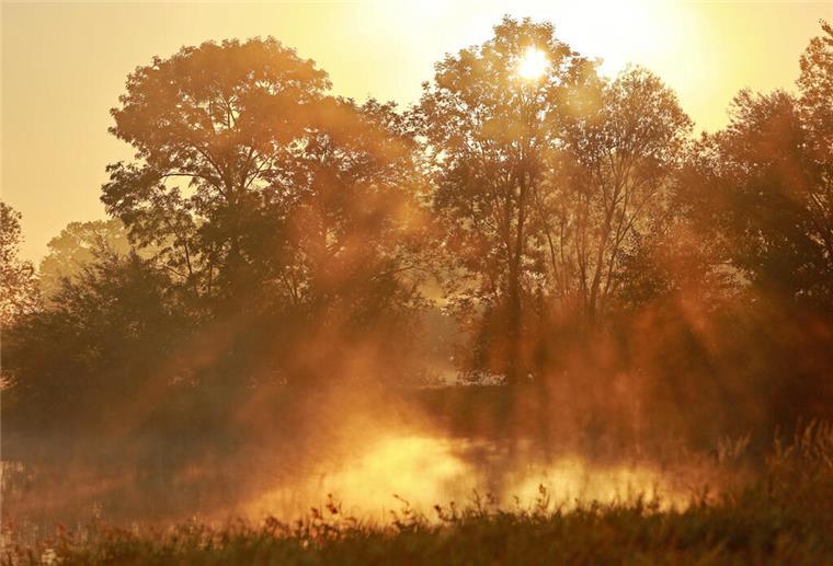 Vorbereitung auf Herbst und Winter ohne große Kosten: Tipps für Haus und Garten Zum kalendarischen Herbstanfang gibt es noch einmal viel Sonnenschein